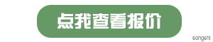 宋氏网络